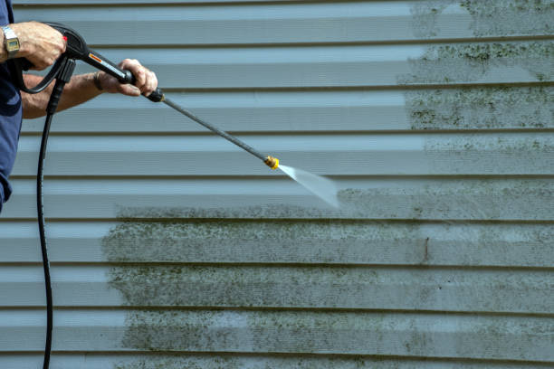 Best Driveway Pressure Washing  in , MN