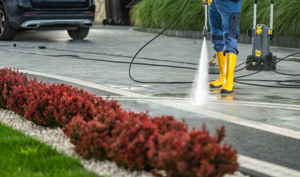 Best Building Exterior Washing  in , MN